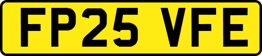 FP25VFE