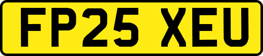 FP25XEU