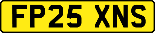 FP25XNS