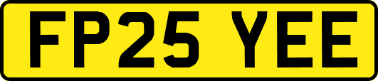 FP25YEE