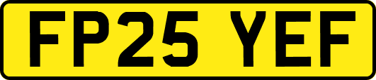 FP25YEF