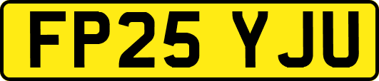 FP25YJU
