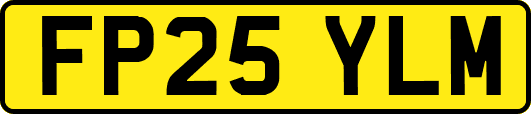 FP25YLM