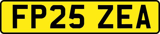 FP25ZEA