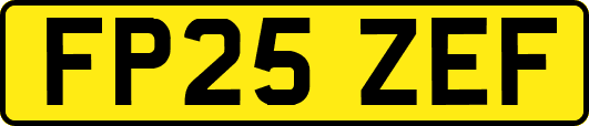 FP25ZEF