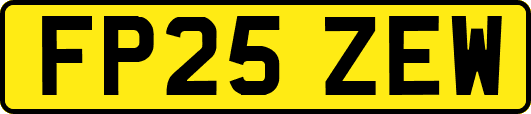 FP25ZEW