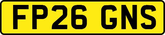 FP26GNS