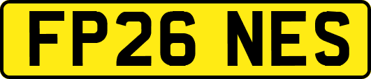 FP26NES
