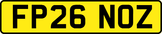 FP26NOZ
