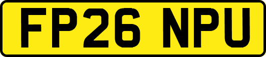 FP26NPU