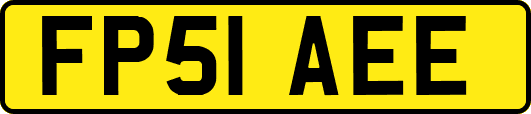 FP51AEE