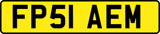 FP51AEM