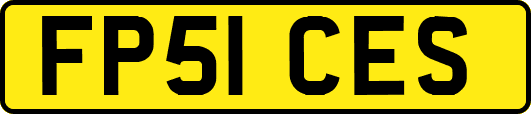 FP51CES