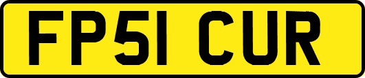 FP51CUR