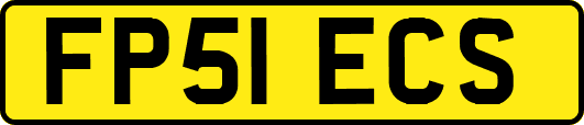 FP51ECS