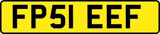 FP51EEF