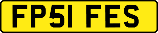 FP51FES