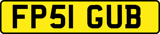 FP51GUB