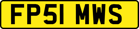 FP51MWS