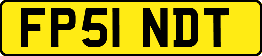 FP51NDT