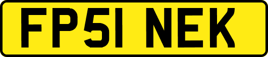 FP51NEK