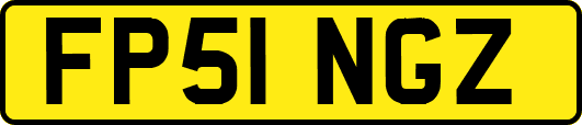 FP51NGZ