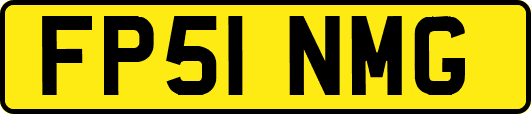 FP51NMG