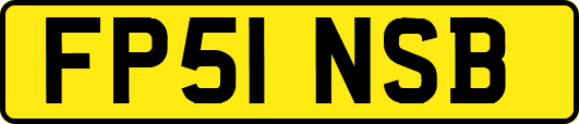 FP51NSB