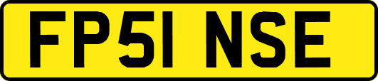 FP51NSE