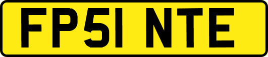 FP51NTE