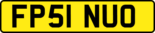 FP51NUO