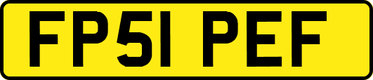 FP51PEF