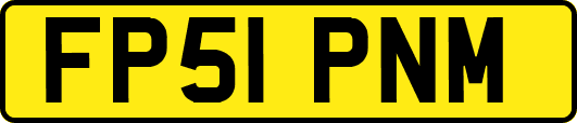 FP51PNM