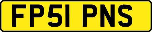 FP51PNS