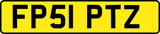 FP51PTZ