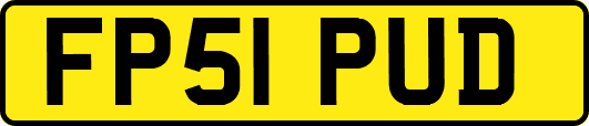 FP51PUD