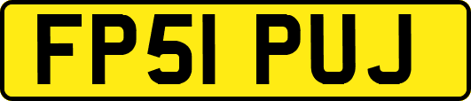 FP51PUJ