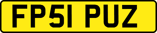 FP51PUZ