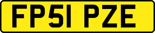 FP51PZE