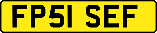 FP51SEF