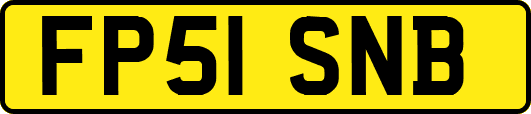 FP51SNB
