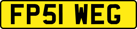 FP51WEG