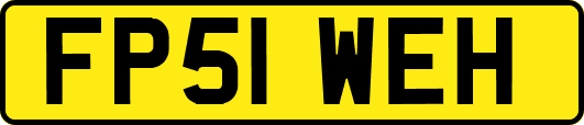 FP51WEH