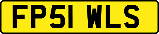 FP51WLS