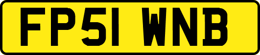 FP51WNB