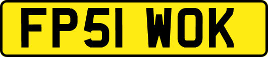 FP51WOK