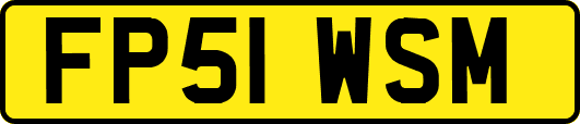 FP51WSM