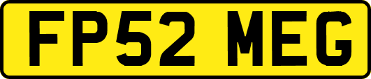 FP52MEG