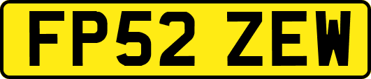 FP52ZEW