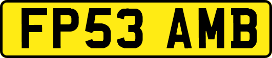 FP53AMB